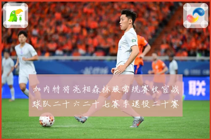 加内特将亮相森林狼常规赛收官战球队二十六二十七赛季退役二十赛场复盘：最新赛事动态与深度分析